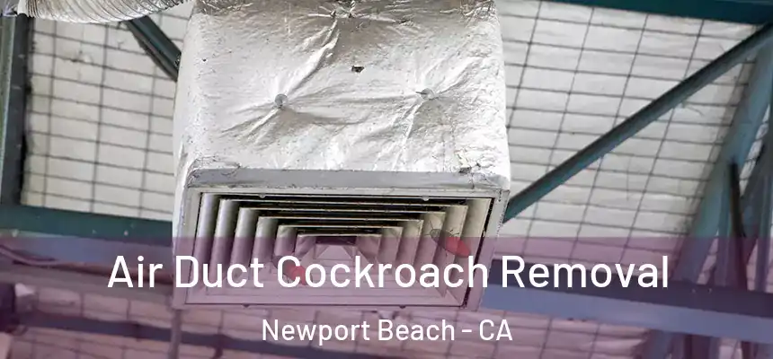 Air Duct Cockroach Removal Newport Beach - CA