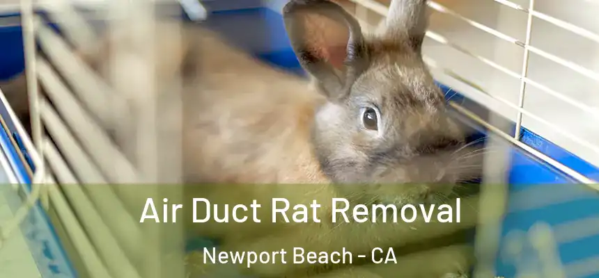  Air Duct Rat Removal Newport Beach - CA