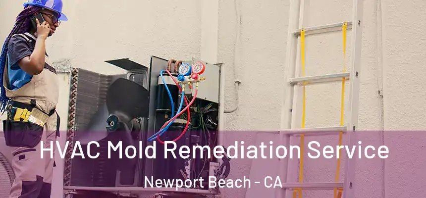 HVAC Mold Remediation Service Newport Beach - CA