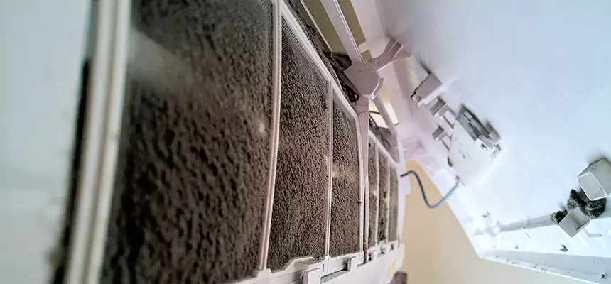 Preventive Air Duct Bacteria Removal in Newport Beach