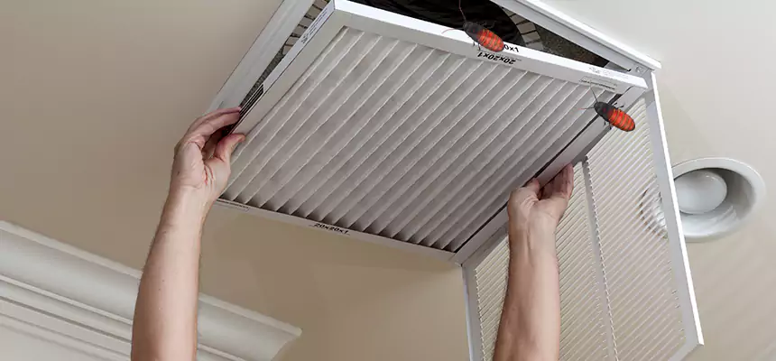 Preventive Cockroach-Proofing for Ducts in Newport Beach
