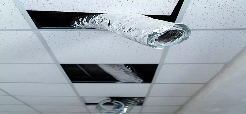 Our Air Duct Pet Hair Removal Services in Newport Beach, CA