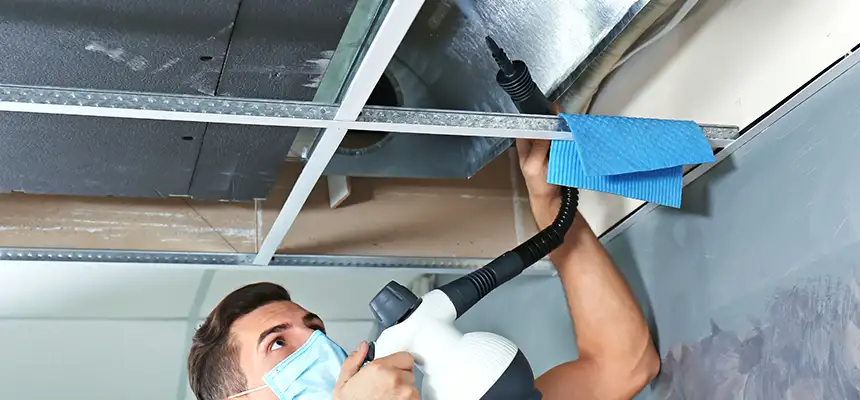Our Air Duct Rodent Removal Services in Newport Beach, CA