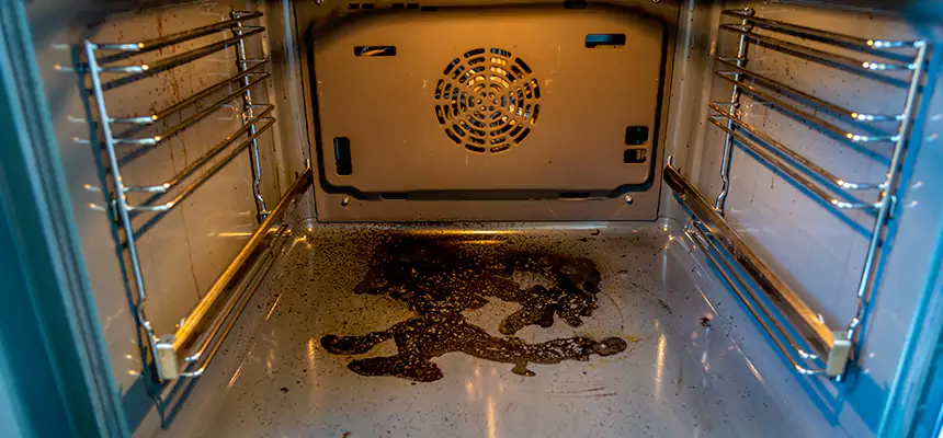 Our Dryer Vent Mold Cleaning Services in Newport Beach, CA