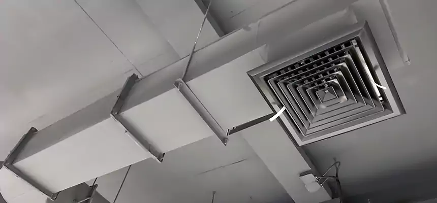 Our Pest Removal From Ducts Services in Newport Beach, CA