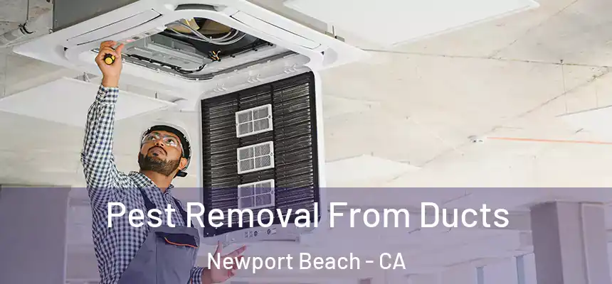 Pest Removal From Ducts Newport Beach - CA