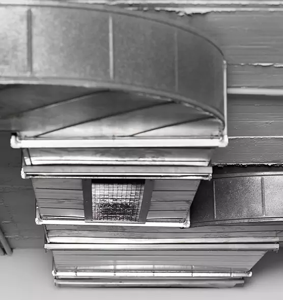 Professional Air Duct Pest Removal in Newport Beach, CA