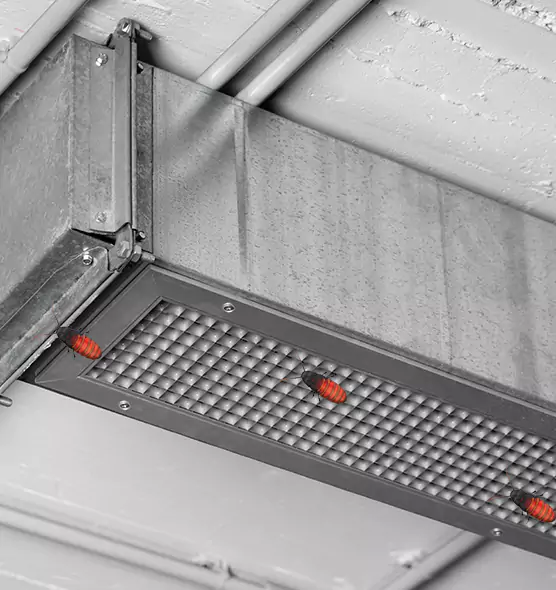 Affordable Insect Removal from Air Ducts in Newport Beach, CA