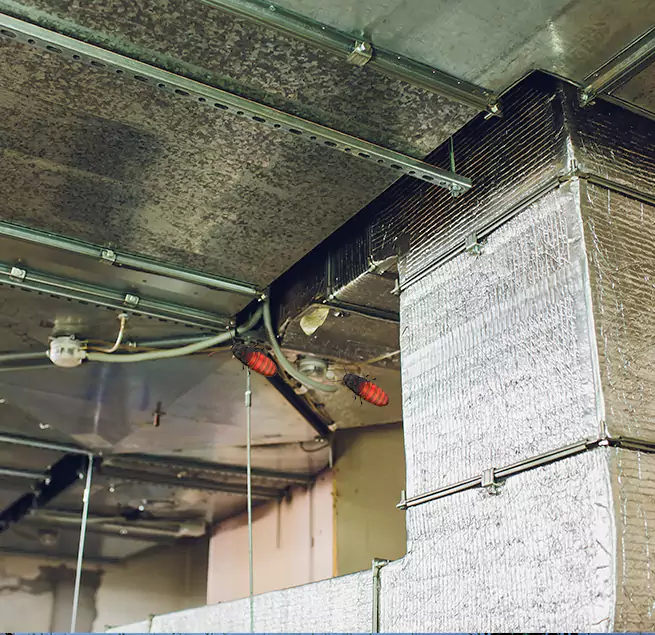 Why Homeowners & Businesses Trust Us in Newport Beach, CA?