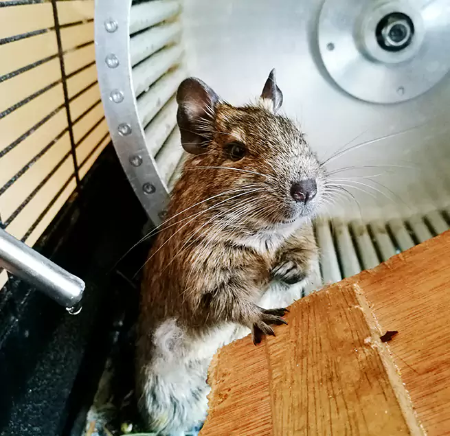 Why Homeowners & Businesses Trust Us Newport Beach, CA?