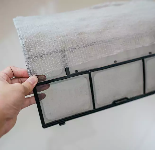 Why Homeowners & Businesses Trust Us in Newport Beach, CA?