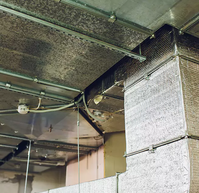 Why Homeowners & Businesses Trust Us in Newport Beach, CA?