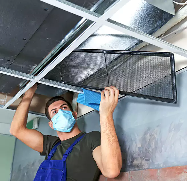 Why Homeowners Businesses Trust Us in Newport Beach, CA