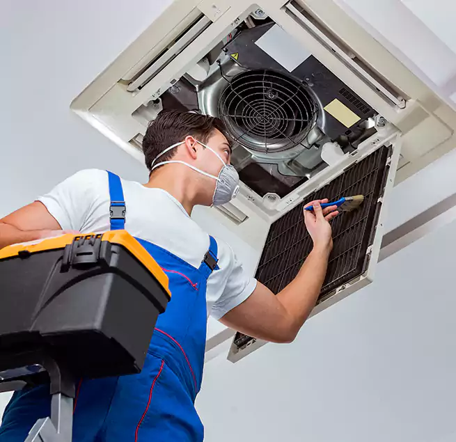 Why Homeowners & Businesses Trust Us in Newport Beach, CA?